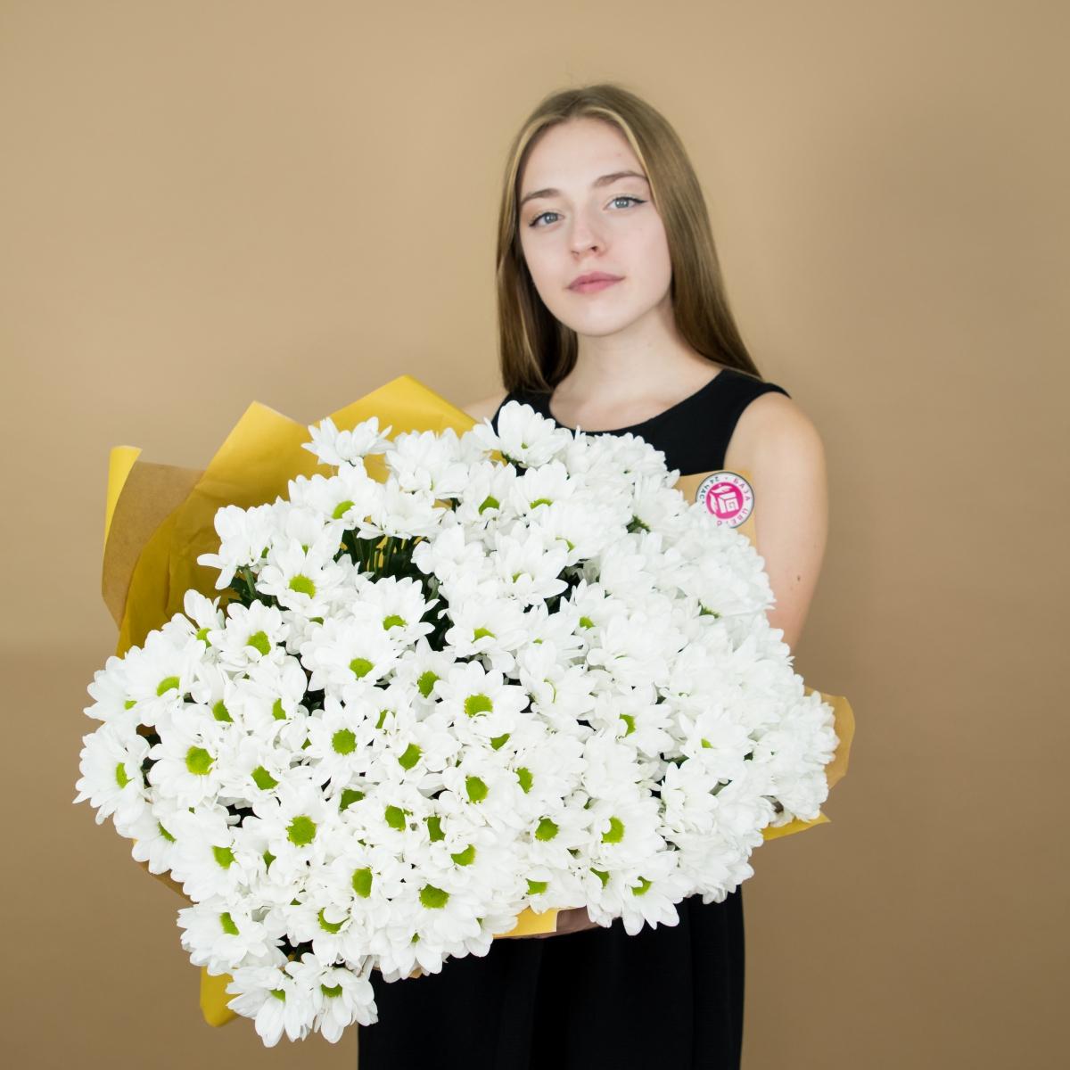 Хризантема белая (ромашка) №: 180s
