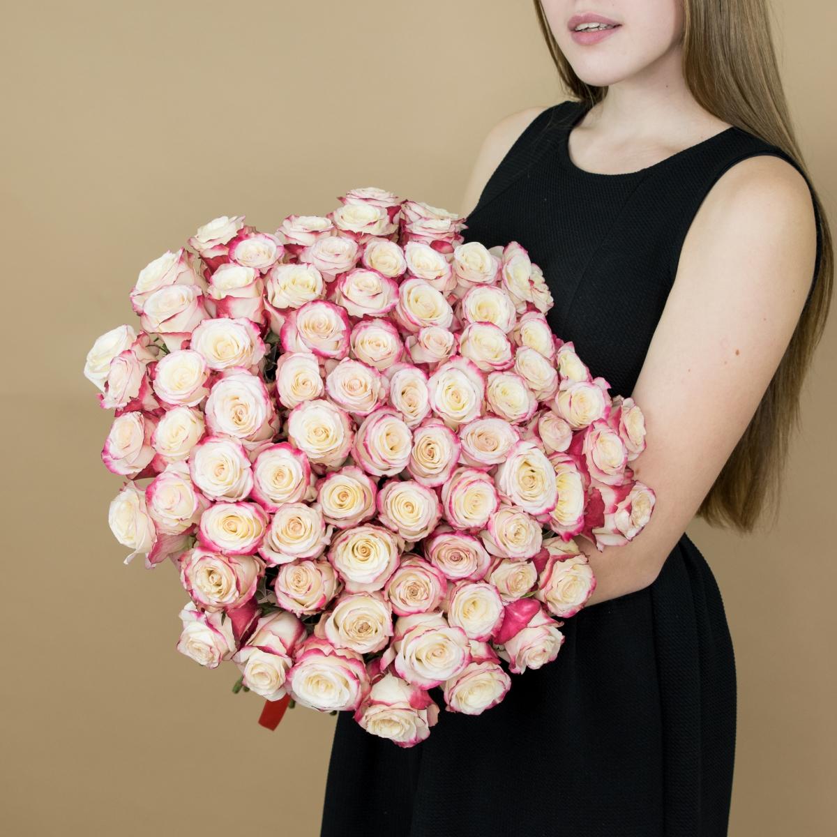 Розы красно-белые (40 см) Эквадор (Артикул   30smr)