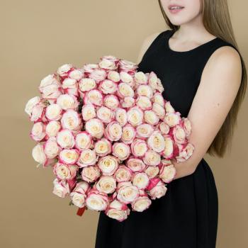 Розы красно-белые 75 шт 40 см (Эквадор) (код   5330)