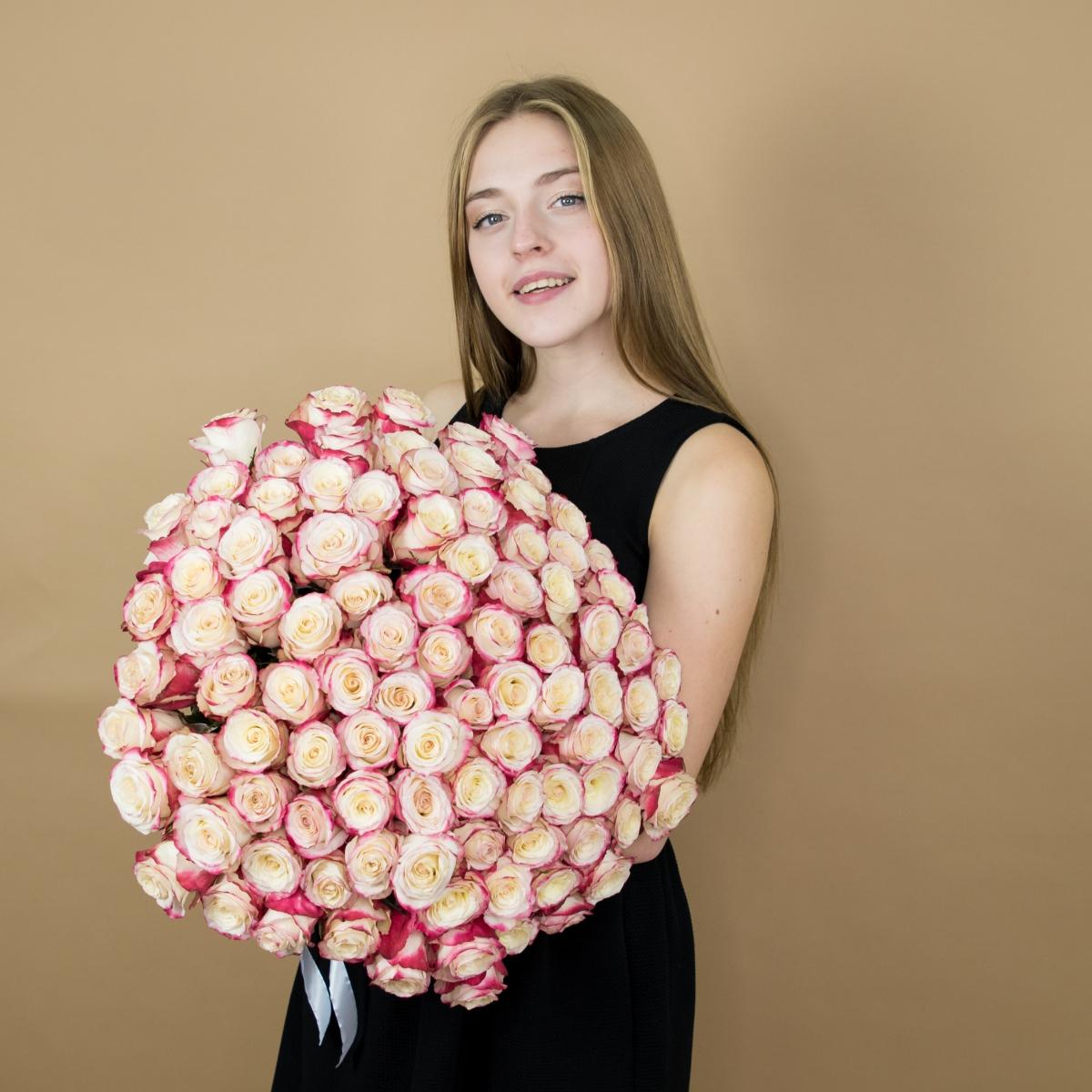 Розы красно-белые 101 шт. (40 см) артикул букета: 5340smr