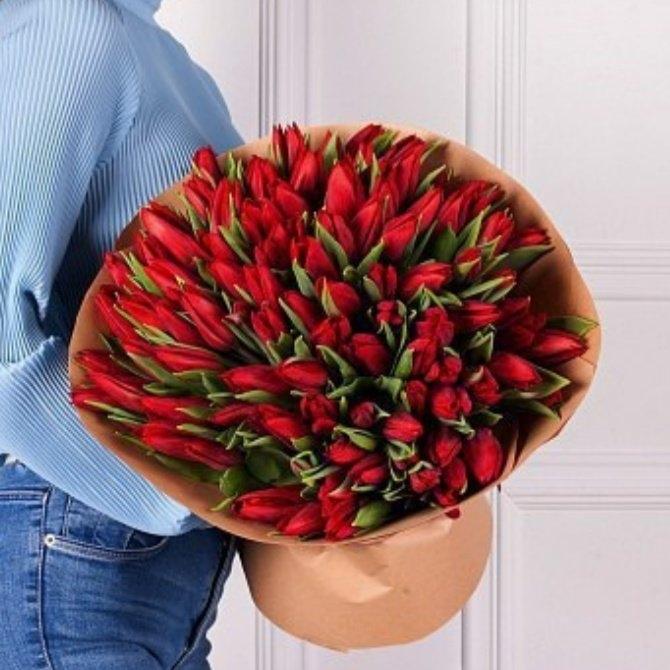 Красные тюльпаны 101 шт (Артикул: 8690)